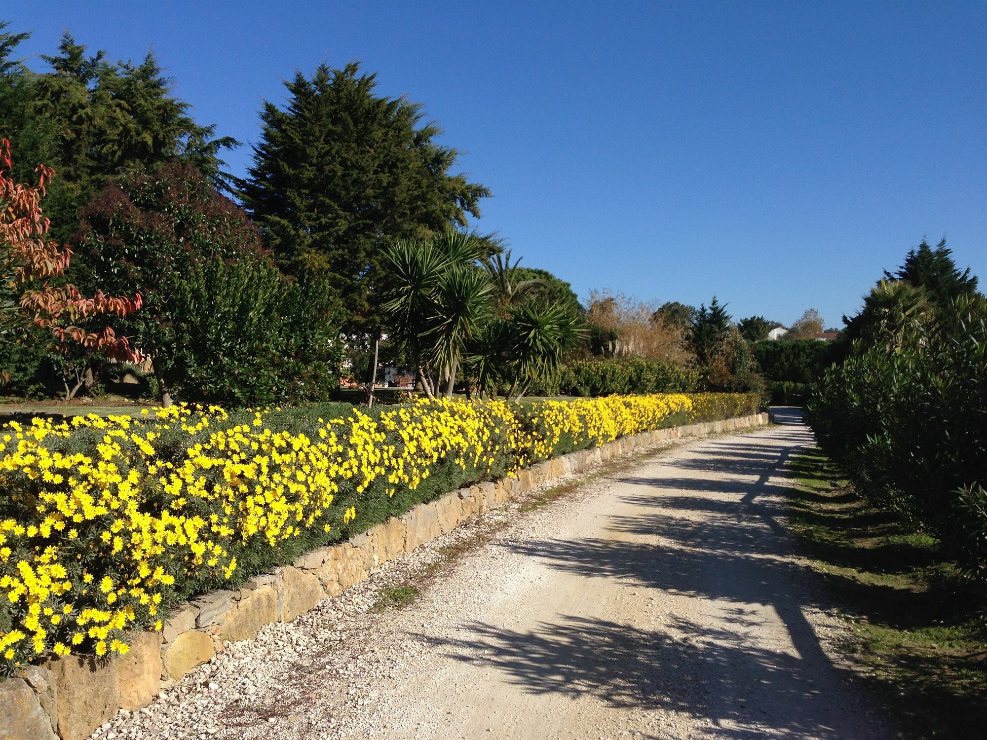 Landhuis Quinta Sintra